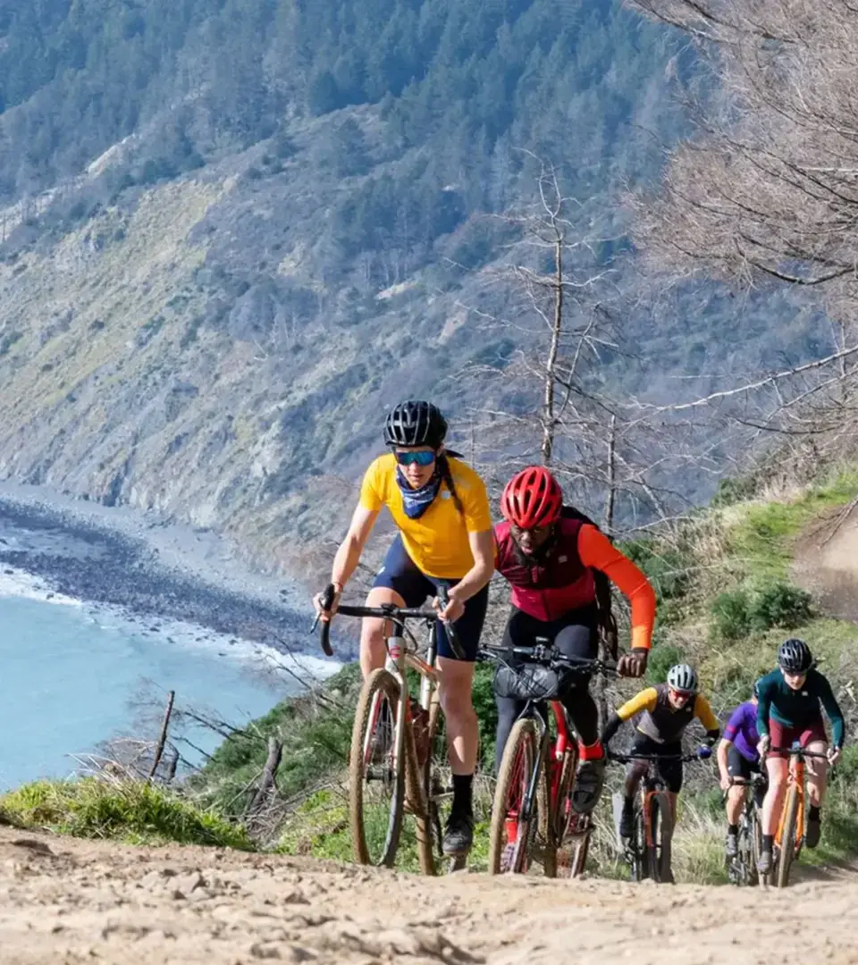 Mountain bikers climbing a trail